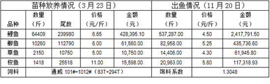 养殖鲤鱼的成本及利润,养殖5000条鲫鱼利润多少
