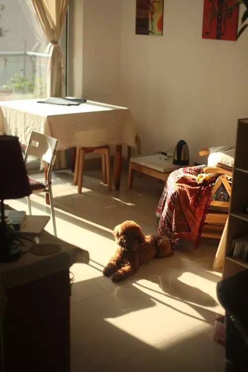 从出租屋搬到自己已经住过的家,从出租房搬到新家视频