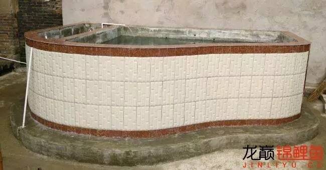 我的锦鲤梦，一直在坚持！