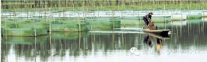 本土文化散文集《到公安》之--------冬行白犊寺