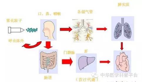雾化只需要加药水吗,雾化就是祛痰吗