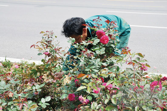 市城管局工作亮点回眸：民生城管为民生务实创新谱华章
