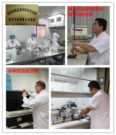 帝王蟹和海王蟹哪个更厉害,春节帝王蟹和波龙哪个更值得吃