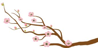 看珠海市全景,看看珠海的风景有多美