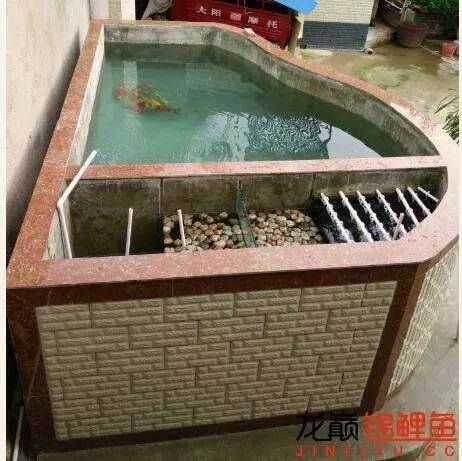 我的锦鲤梦，一直在坚持！