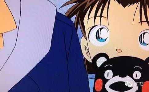 熊本熊发展历程,为什么是熊本熊