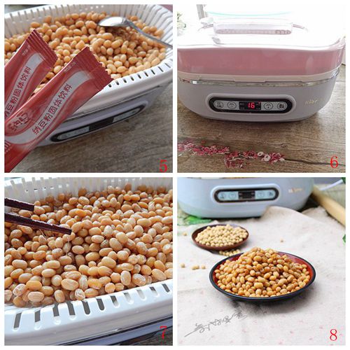 自制纳豆不用纳豆机,纳豆自制纳豆