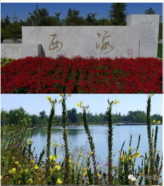 疆域风情玛纳斯,玛纳斯冰雪风情旅游季