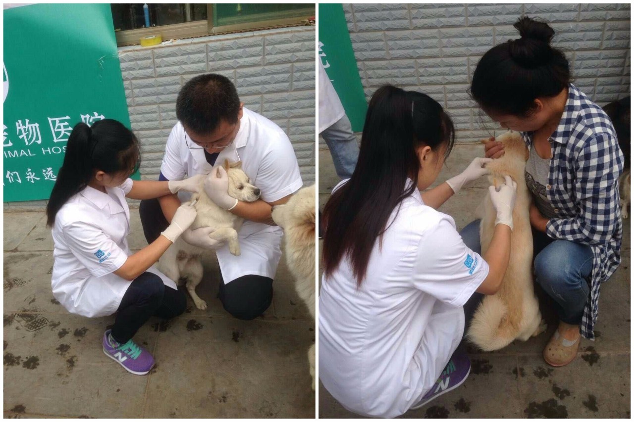 crc项目初期的准备工作,crc项目流程