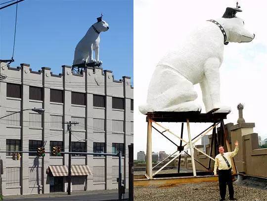 小狗尼帕Listen to His Masters Voice