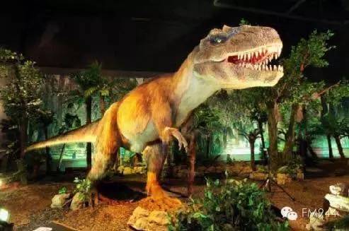 让你的假期多一份,让你的假期充满乐趣