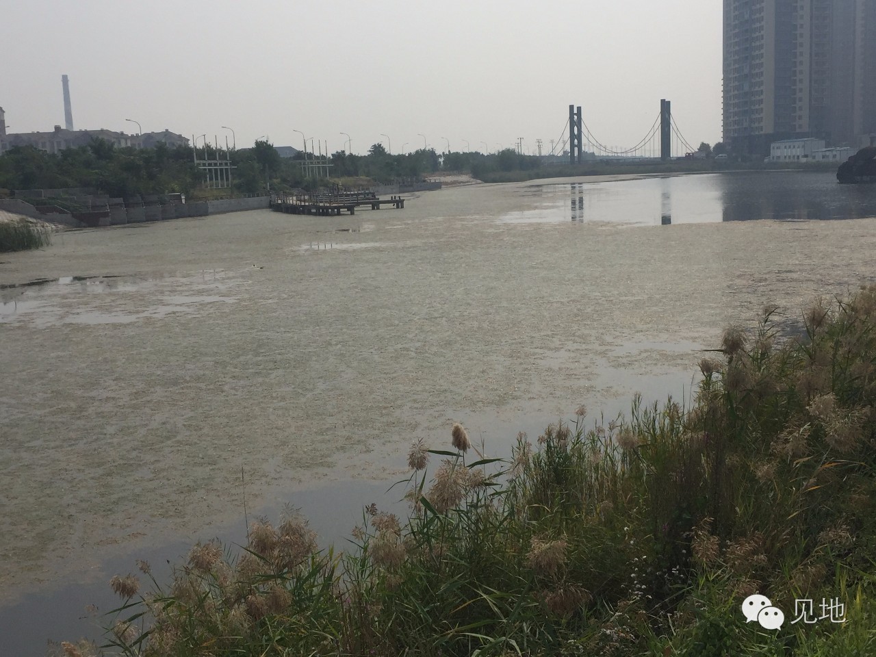 天津津南区星耀五洲航拍,天津市津南区星耀五洲别墅