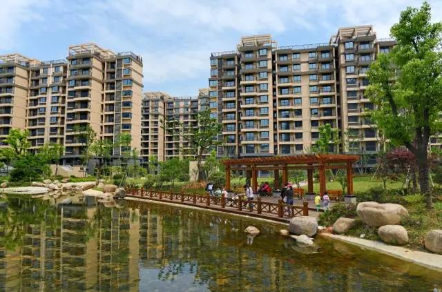 再一次被老祖宗的智慧惊艳到,被自己聪明才智惊呆了