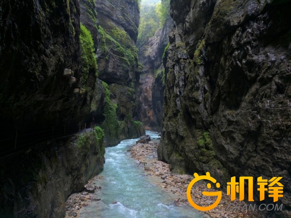 顶级相机拍摄照片的细腻程度,顶级相机变焦清晰度