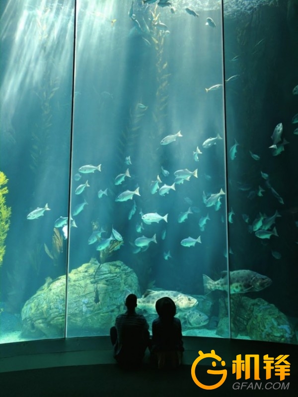 顶级相机拍摄照片的细腻程度,顶级相机变焦清晰度