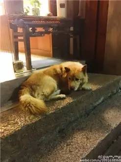 南锣鼓巷就是一条巷吗,南锣鼓巷的特别之处