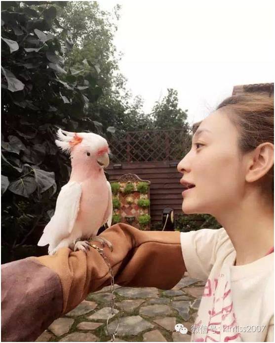 好用妆前乳十元,好用妆前乳遮毛孔