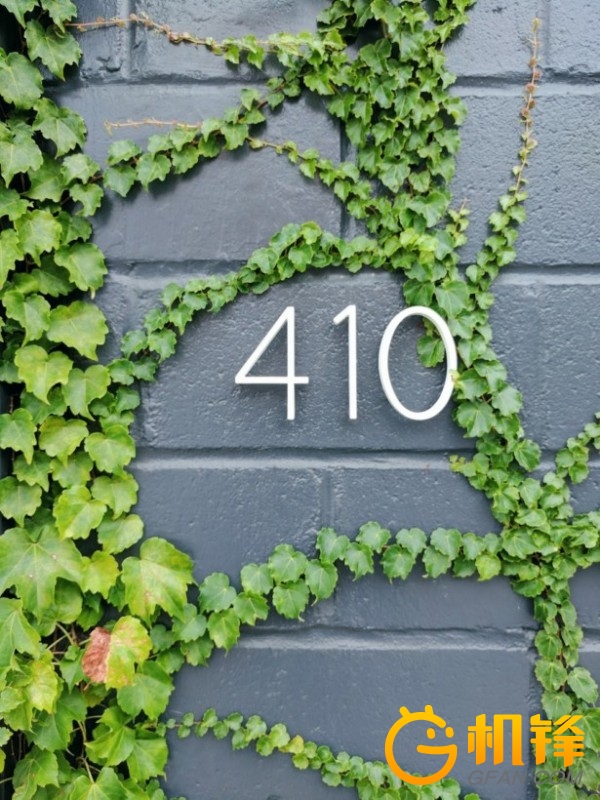 顶级相机拍摄照片的细腻程度,顶级相机变焦清晰度