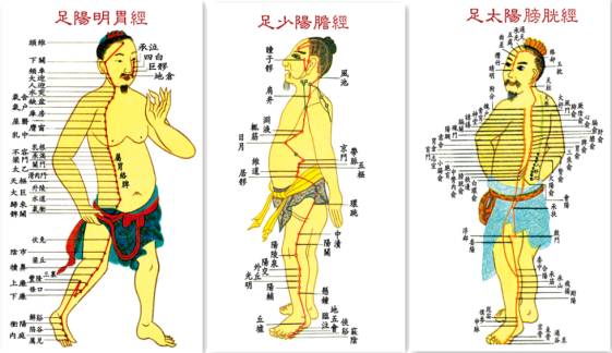 红墙健康行十二经络养生操完整版,经络养生调理活动
