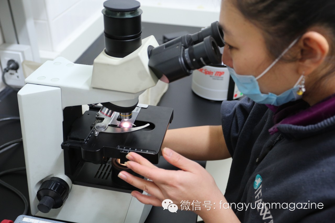 猛禽行程,400多万猛禽