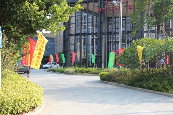 行业不景气许愿斌解读澳华逆势增长60%的三*法大**宝