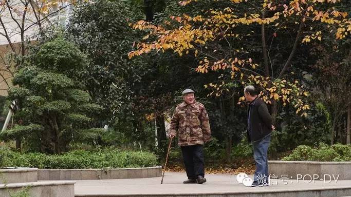 高性价比的电影头——Samyang（三阳）XEEN系列试用感受