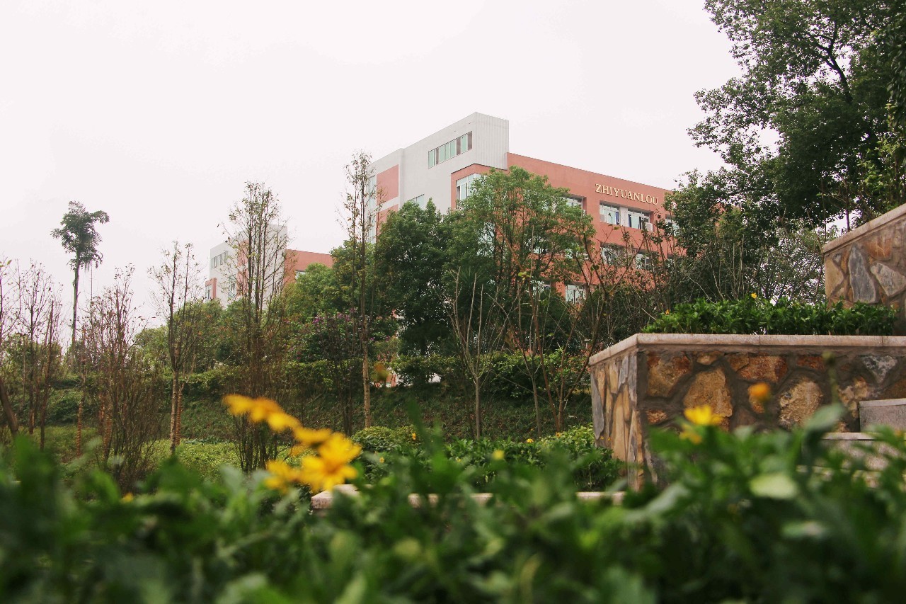 北碚区第四十八中学初中,重庆北碚48中学校