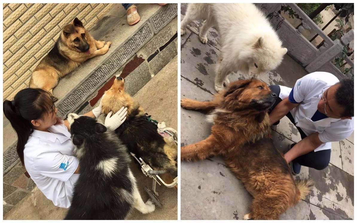 crc项目初期的准备工作,crc项目流程