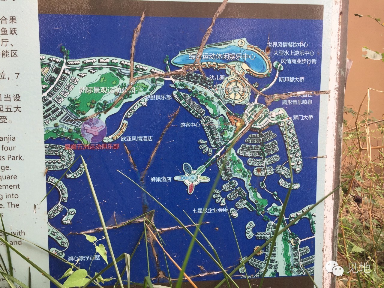 天津津南区星耀五洲航拍,天津市津南区星耀五洲别墅