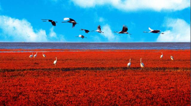东莞中秋周边游去哪里好,中秋节周边游推荐