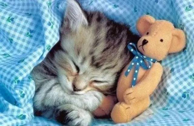 让你的假期多一份,让你的假期充满乐趣