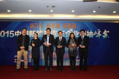 中国新能源汽车董事长排名,中国新能源车企创始人