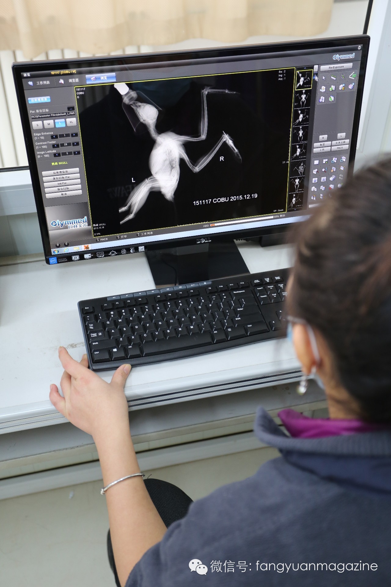 猛禽行程,400多万猛禽