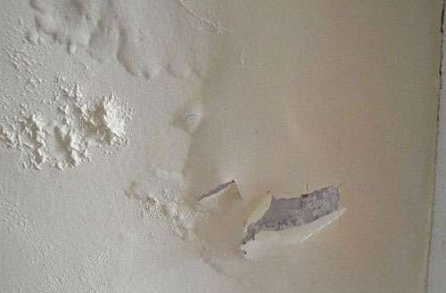 家中墙壁为什么会上霉,墙壁有大面积霉怎么处理