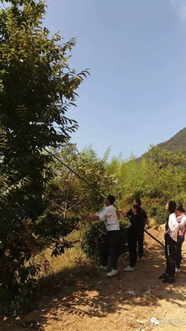 车友风采图片大全,车友的个人风采