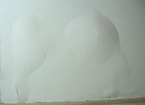 家中墙壁为什么会上霉,墙壁有大面积霉怎么处理