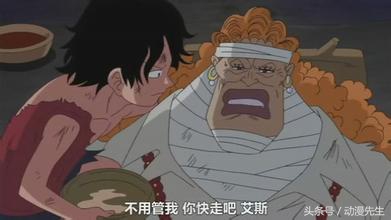 伟大航路，十位最出色的老师，最差的学生实力都过亿！