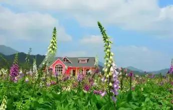 惠州发布最新提醒,惠州最新规定通知