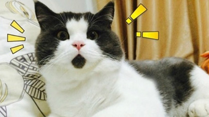 澳一老爸硬要政府赔偿100万，只因孩子不会写字