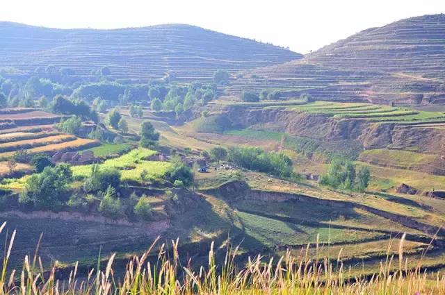 山沟沟里的风景最美,西北山沟沟景区