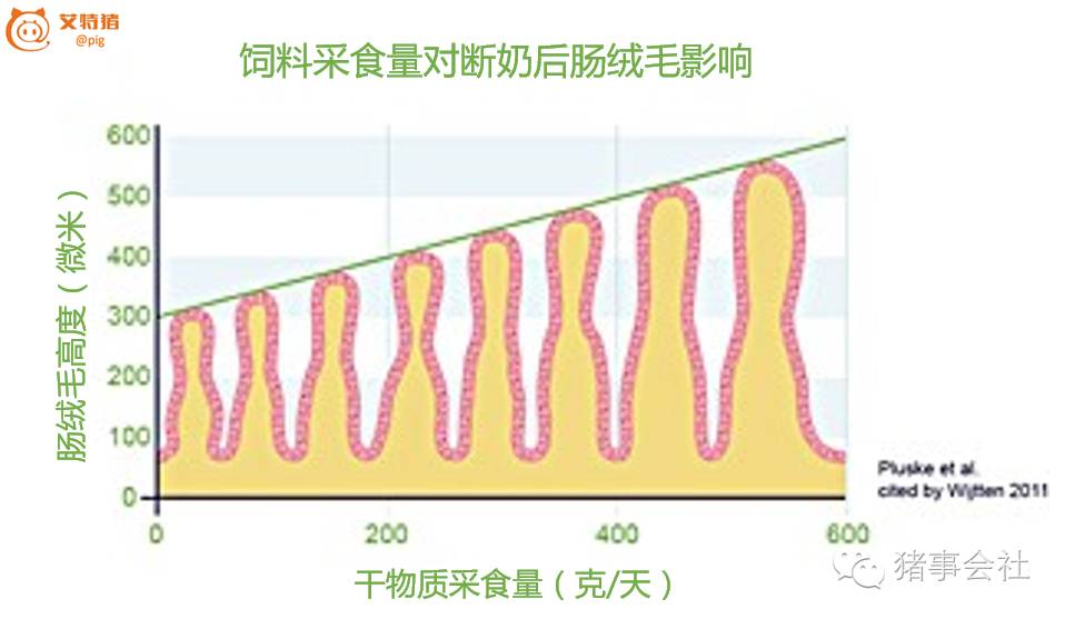 肠道渗漏是什么原因引起的,肠道渗漏怎么检查