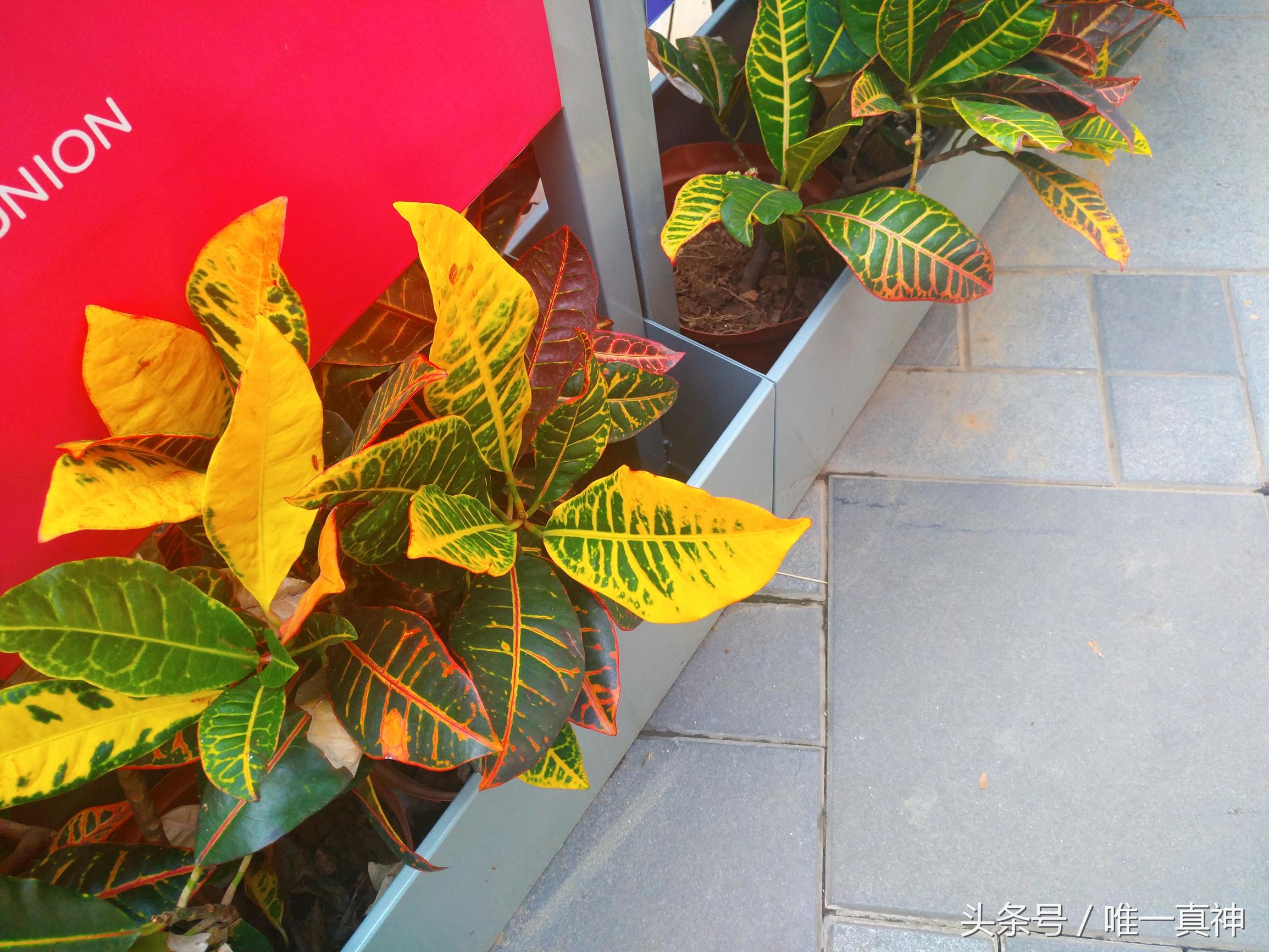 乐pro3双摄ai版手机怎么样,乐pro3电量多少充电好