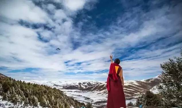 冬季到雪村来看雪,冬季到雪乡去看雪