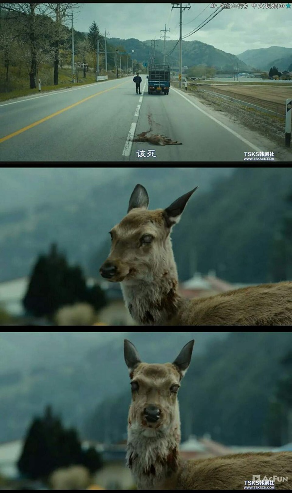 釜山行讲述了什么道理,釜山行感悟启发