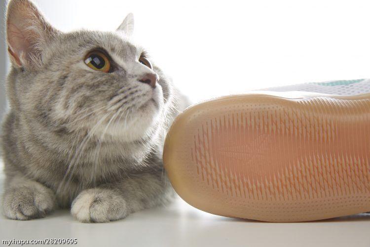 涓庣尗鍏辫垶,涓庣尗鍏辫垶绯诲垪