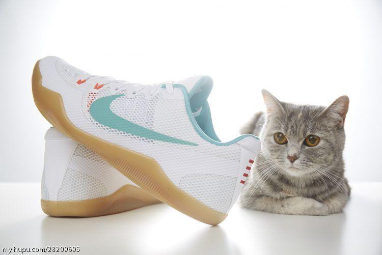 涓庣尗鍏辫垶,涓庣尗鍏辫垶绯诲垪