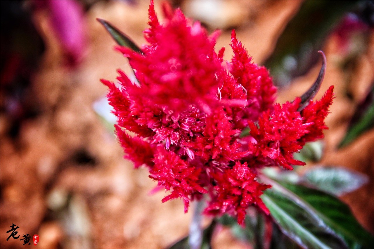 黔江小南海地震,黔江小南海地震遗址景区