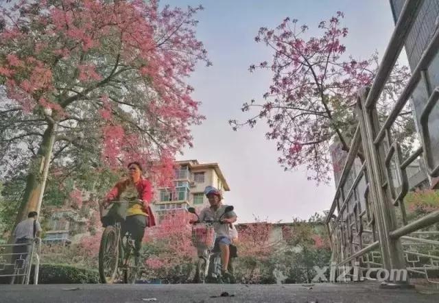 惠州发布最新提醒,惠州最新规定通知