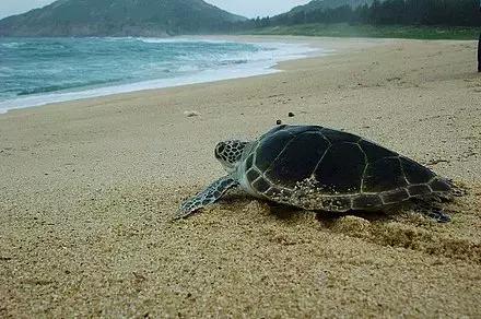 广东惠州到厦门自驾游路线推荐,惠州自驾游十大免费景点推荐