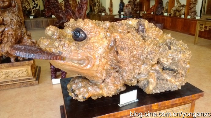 开化根宫佛国免费游玩,衢州开化佛国视频